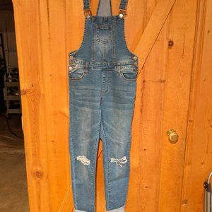 Stretchy denim overalls